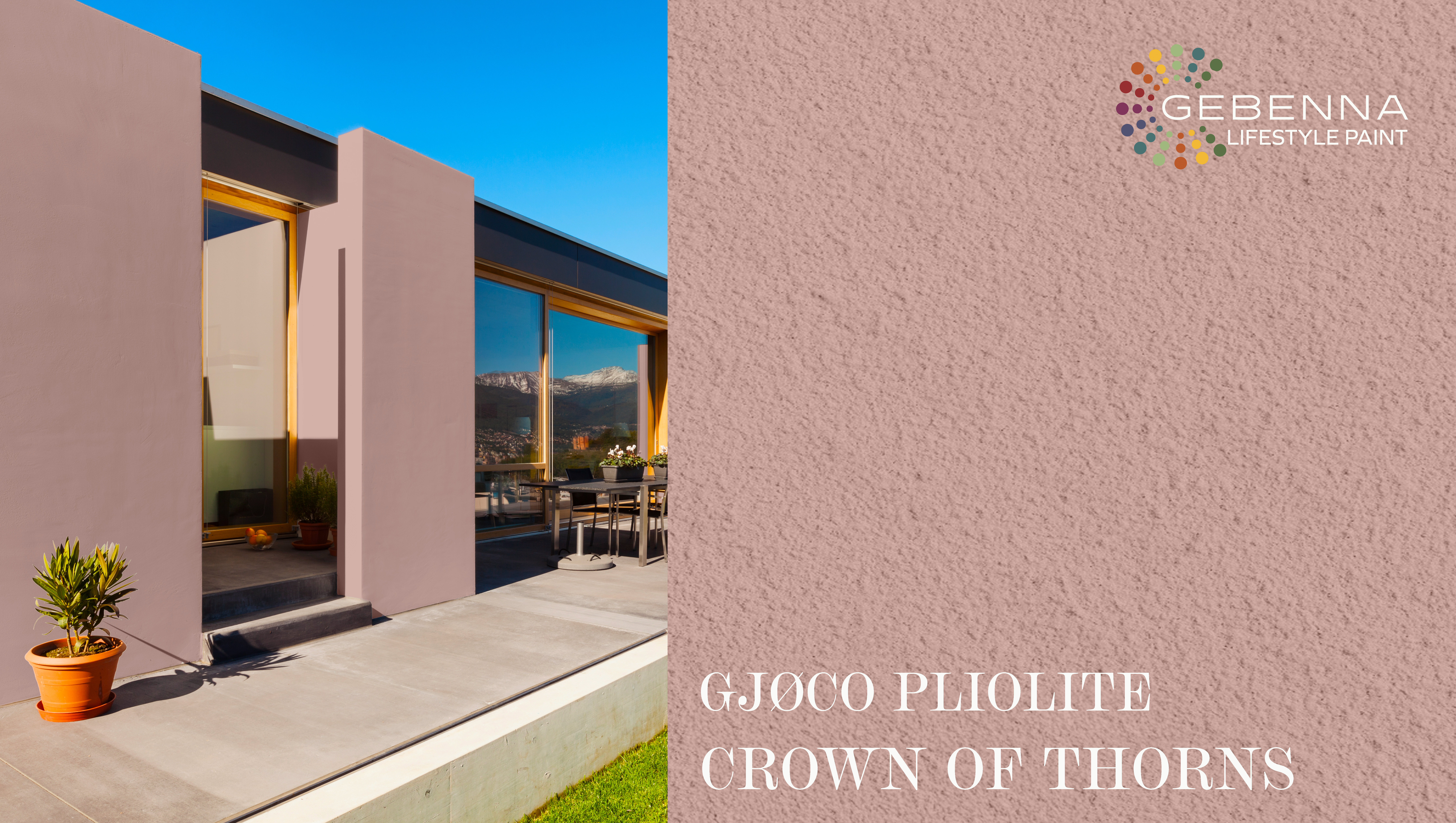 PLIOLITE FARVEKORT CROWN OF THORNS.jpg